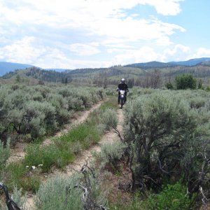 2010_DZ_Preride_0051