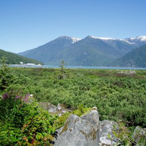 53_BC_Harbour