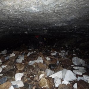 north_island_2010_045