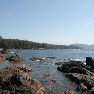 north_island_2010_221