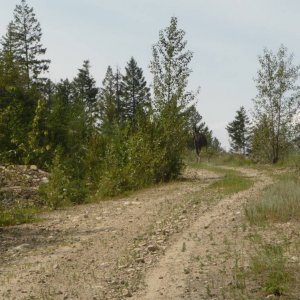 P1030757