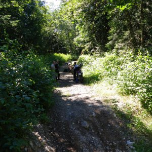 Chehalis_002
