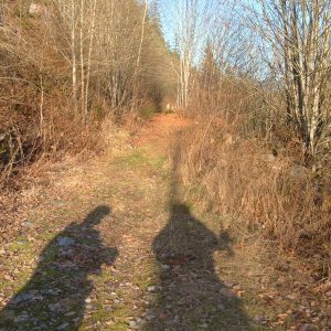 Dec 11 05 Stave Lake