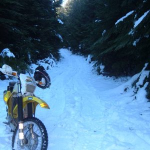 Dec 11 05 Stave Lake