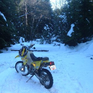 Dec 11 05 Stave Lake