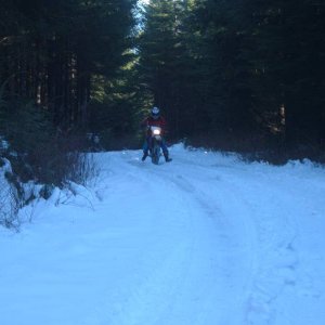 Dec 11 05 Stave Lake