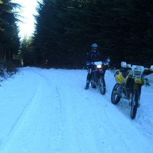 Dec 11 05 Stave Lake