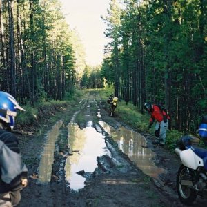 Big Creek FSR - Wiped out !