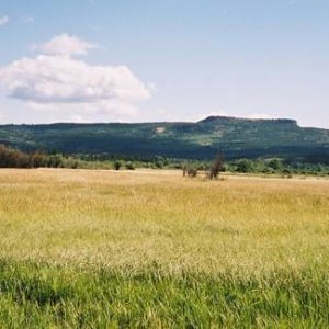Chillcotin Meadow