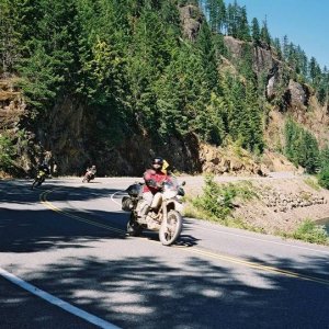 Gold River - Campbell River Road