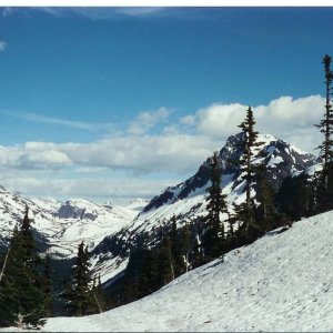 Clayton Creek FSR Summit
