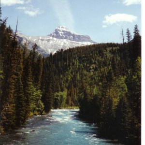 River in the Kootenays