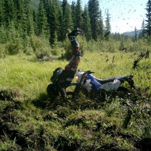 Flying_rider