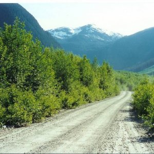 Road to South Bentinck Arm
