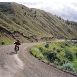 Road to the Gang Ranch