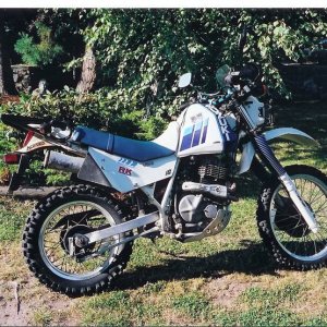 Bomba's 86 Suzuki DR 600