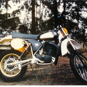 Peters Husky in Sweden
