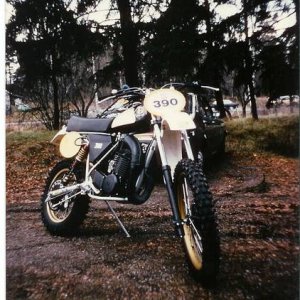 Peters Husky in Sweden