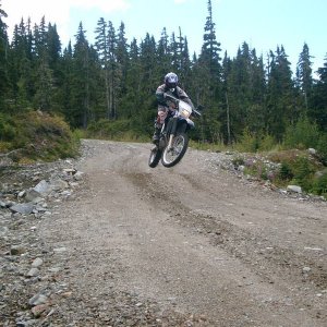 Reason for road trenches