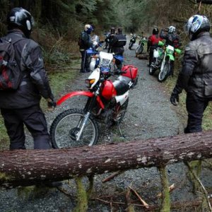 ride_feb_5_06_-_036