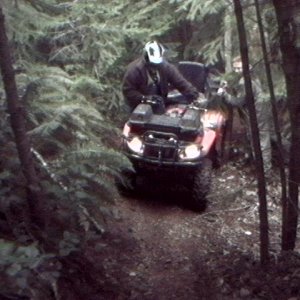 griz1