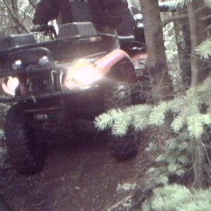 griz3