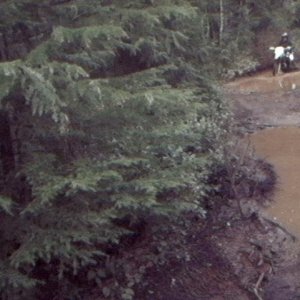 puddle_jumpin
