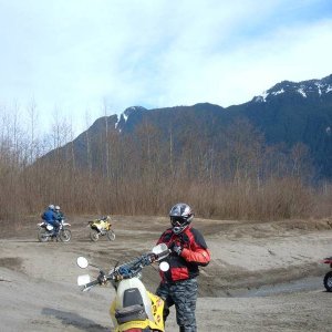 Herrling_Feb06_001