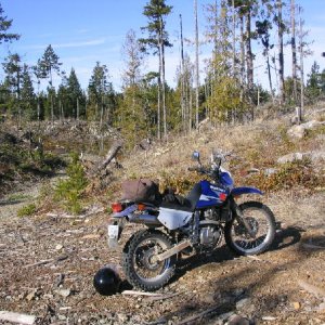 malahat ridge