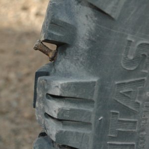 feb_19_06_Ride_-_5