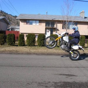 Ner_fender_059
