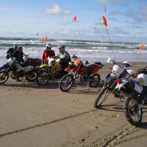 Oregon Dunes 2006-14