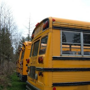 Bus_003