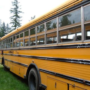 Bus_004