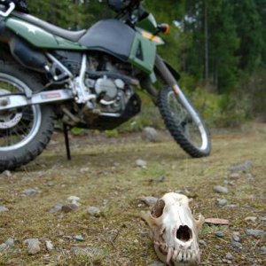 apr_9_2006_ride_-_0541