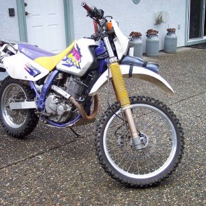 Verns 650