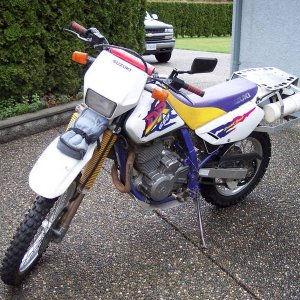 Verns 650