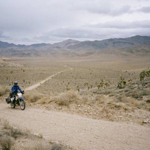 Endless Roads