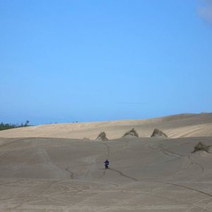 DSCN1223