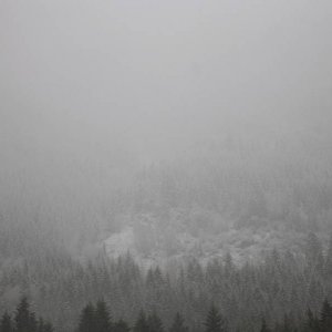 thar be snow