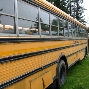 Bus_0081