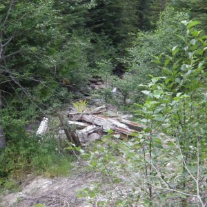IMGP0724