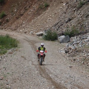 Whipsaw 2010/09/03