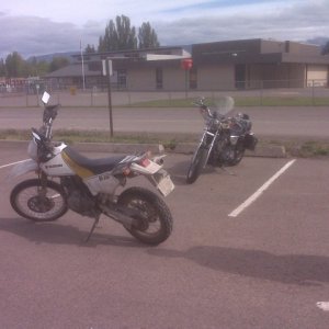 DR and Harley ????