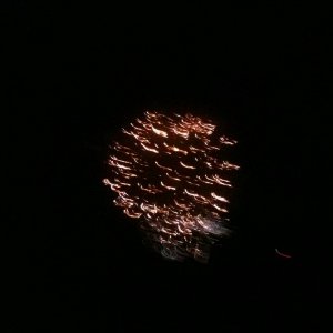 IMG_0041
