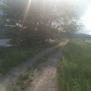 IMG_0020
