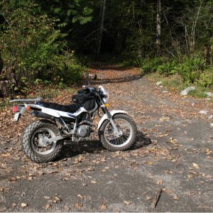 Picture_010