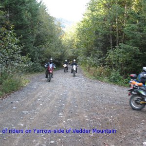Picture_0061