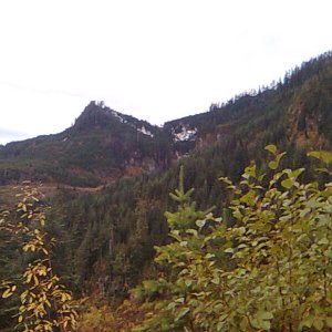 Image005
