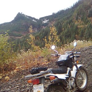Image007